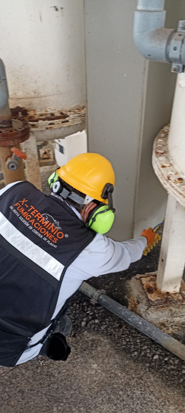 Control de plagas en industria