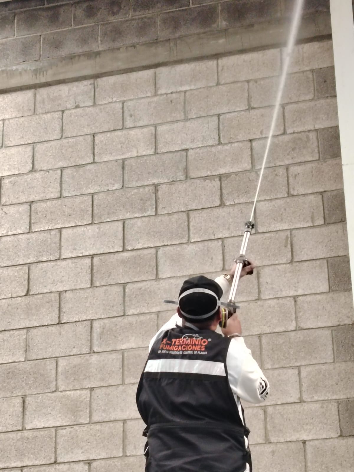 Repelente para murciélagos