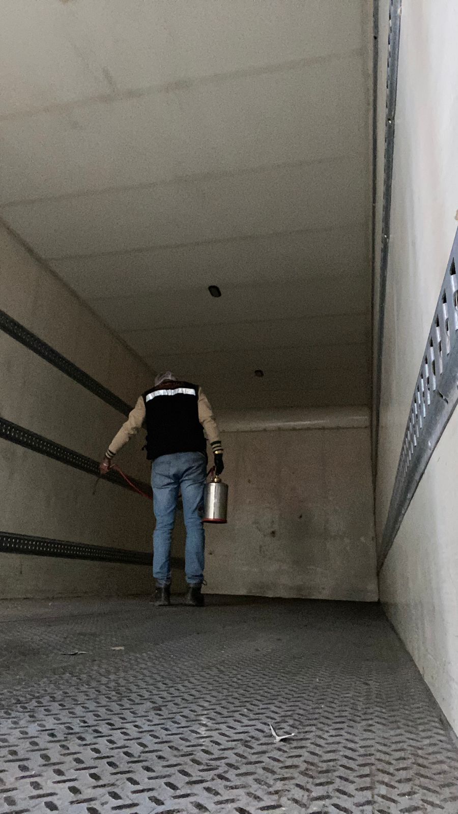 Control de plagas en transporte