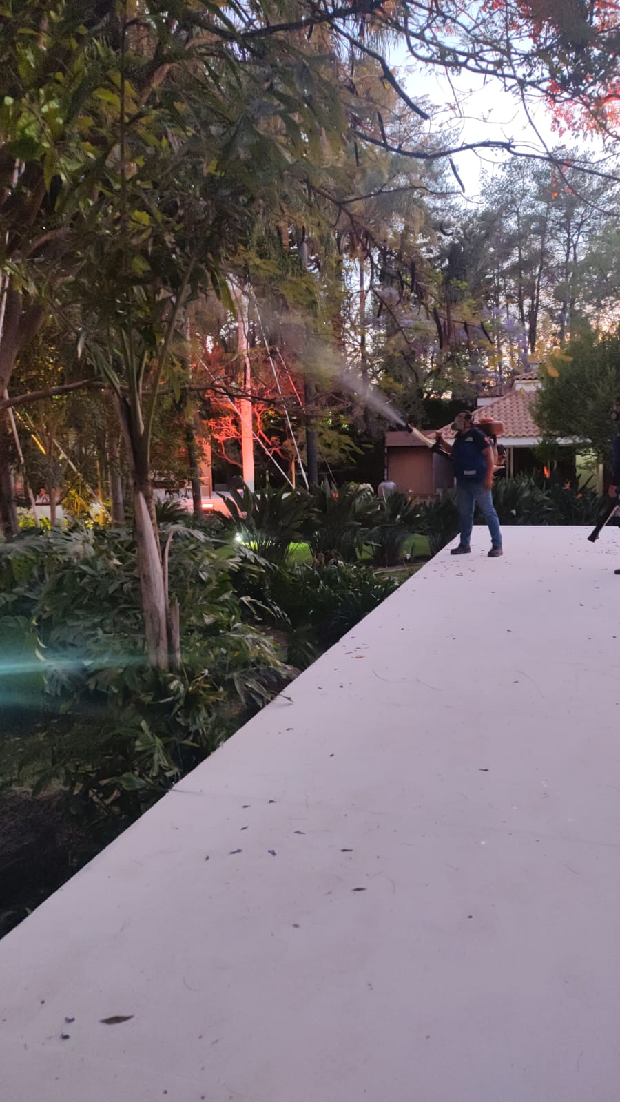 Control de mosquitos