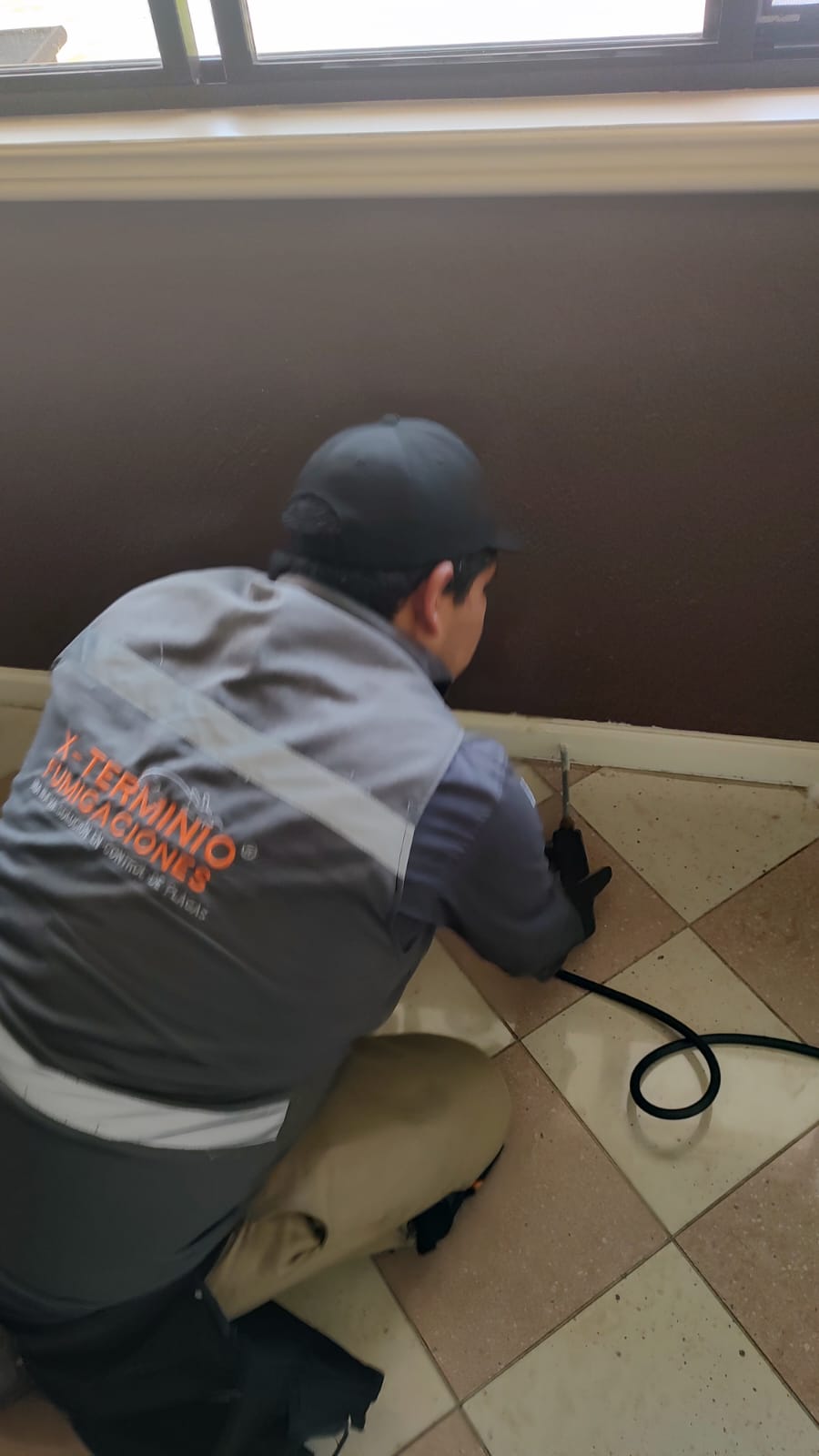 Inyección contra cucarachas